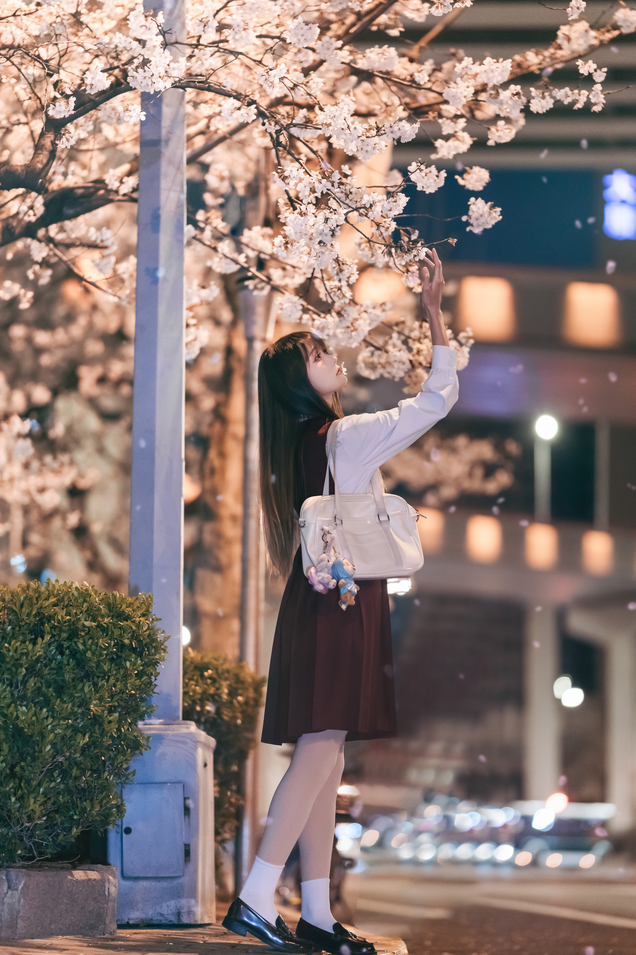 兔子Zzz不吃胡萝卜 - 居家少女&邂逅樱花雨 2 套