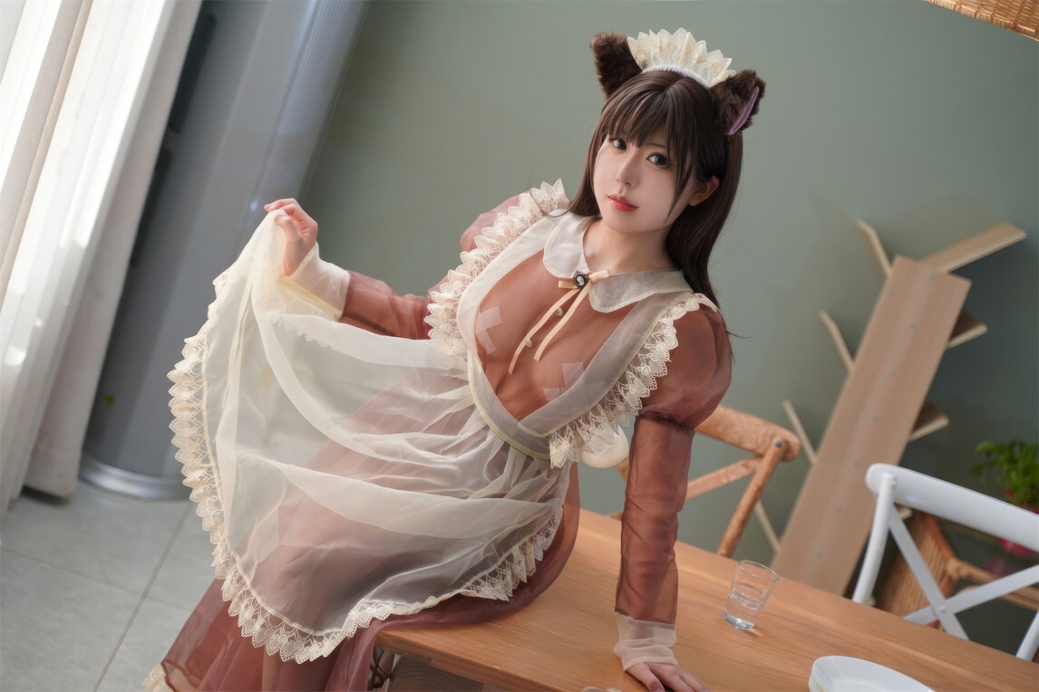 虎森森 – 棕色透明女仆 [35P-229MB]