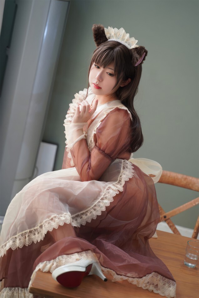虎森森 - 棕色透明女仆 [35P-229MB]