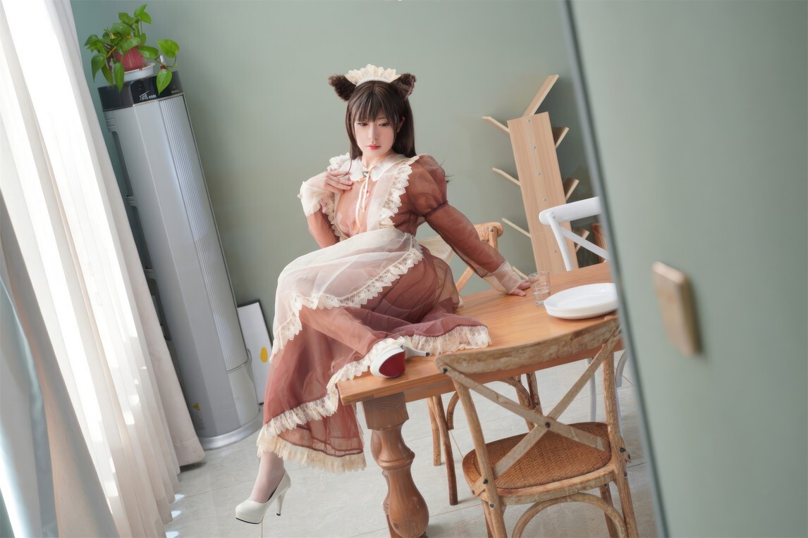 虎森森 - 棕色透明女仆 [35P-229MB]